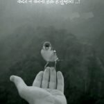 Jayashree Pal